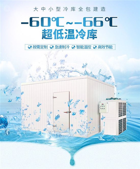 【-60℃度超低温冷库】图片_价格_规格_参数